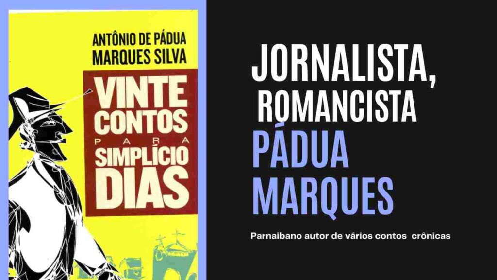 Livro Vinte Contos Para Simplício Dias